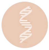 Analyse risques identification phytochimique plantes et recherche adultération