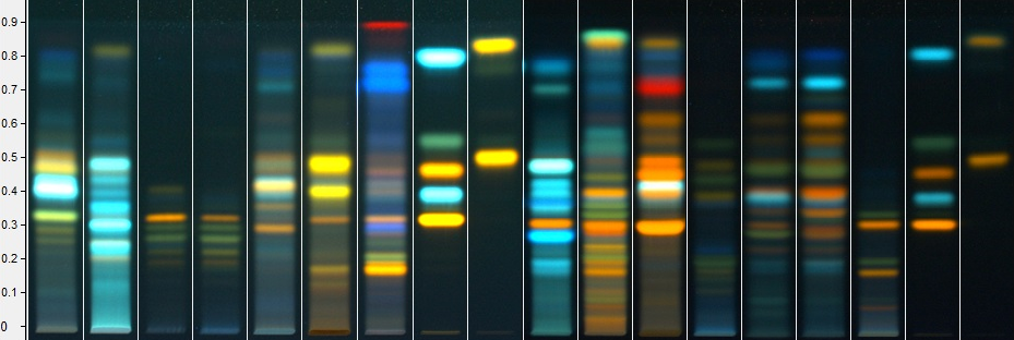 Analyse risques identification phytochimique plantes et recherche adultération