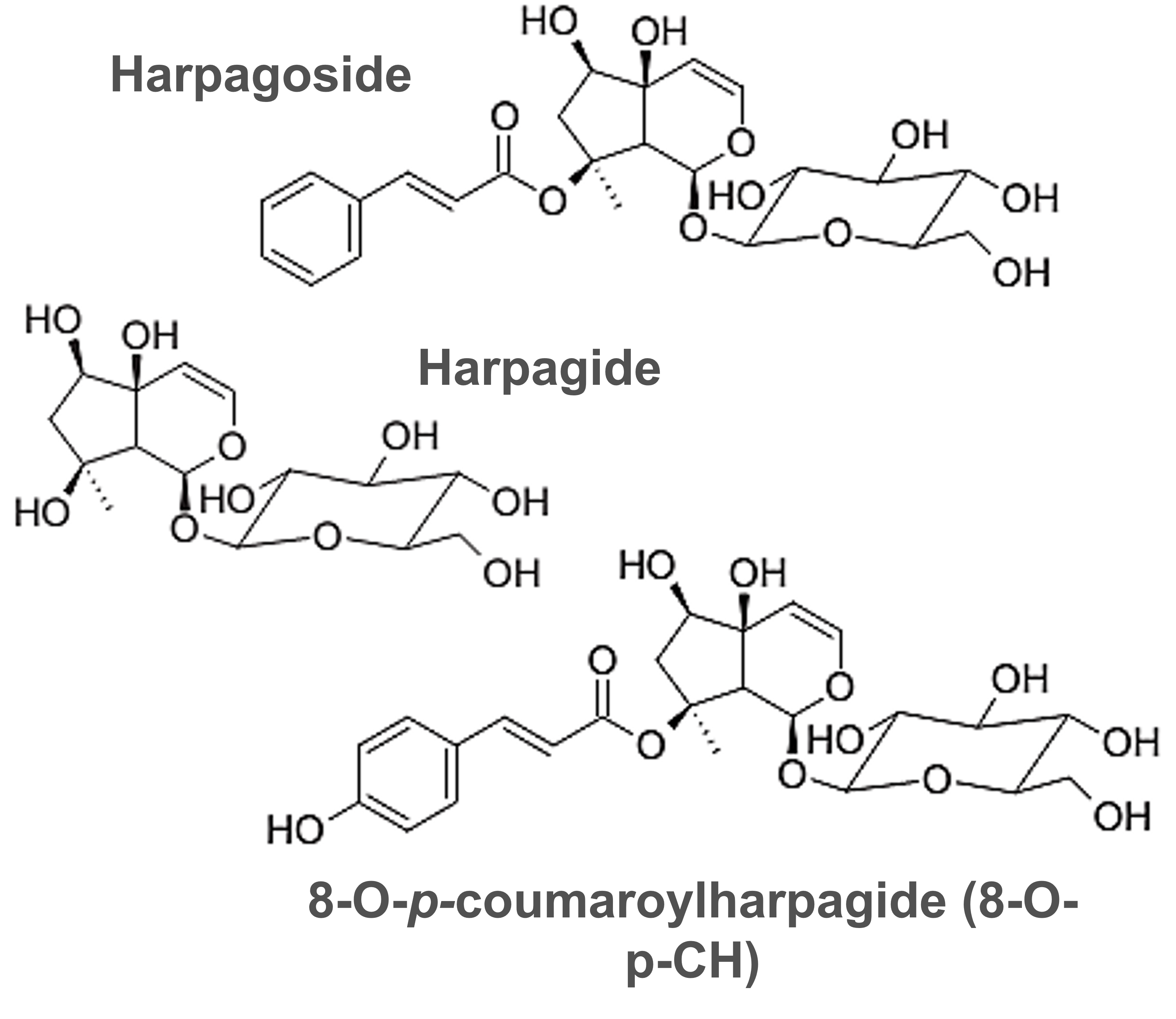 Structure chimiques des PACs des pepins de raisins