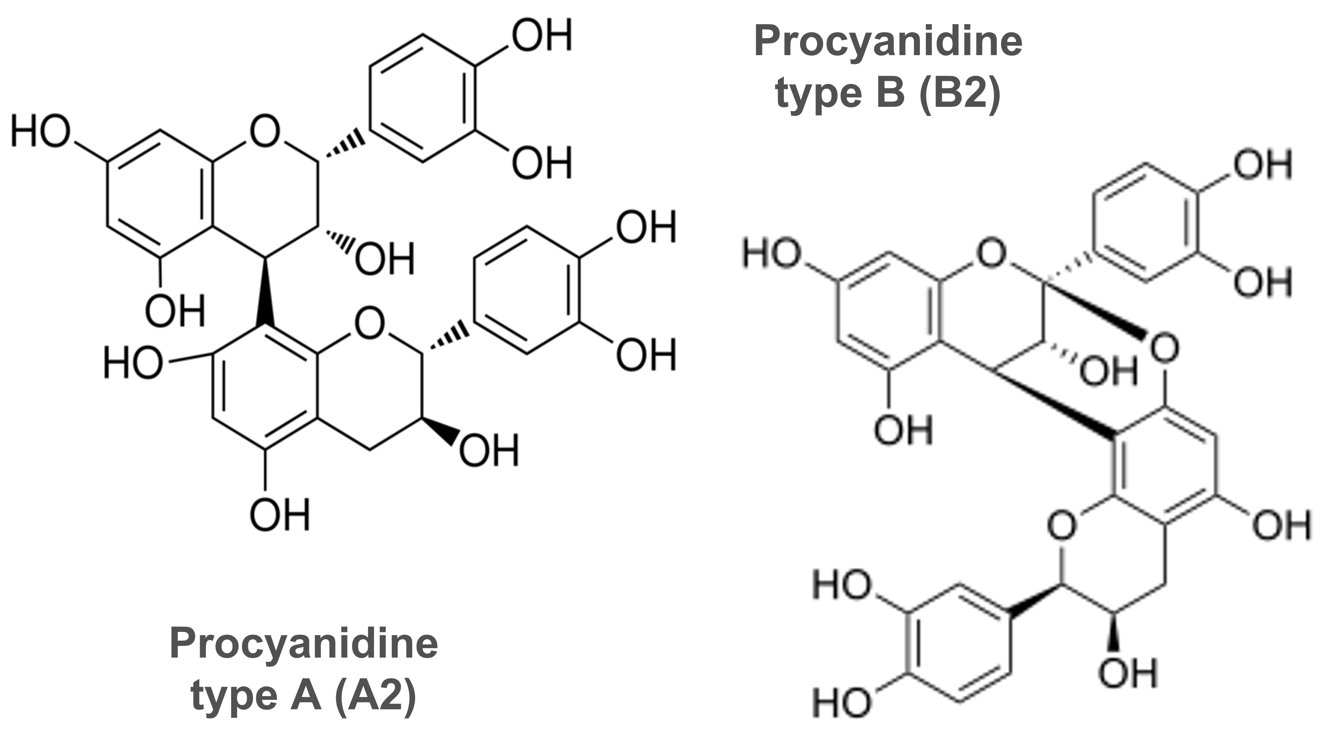 Structure chimiques des PACs des pepins de raisins