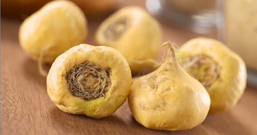 Photo de tubercules de maca L´Hypericum est une plante qui compose notre herbarium. Des analyses phytochimiques ont permis d´identifier cette plante et nous l´utilisons comme standard botanique pour nos analyses d´identification.