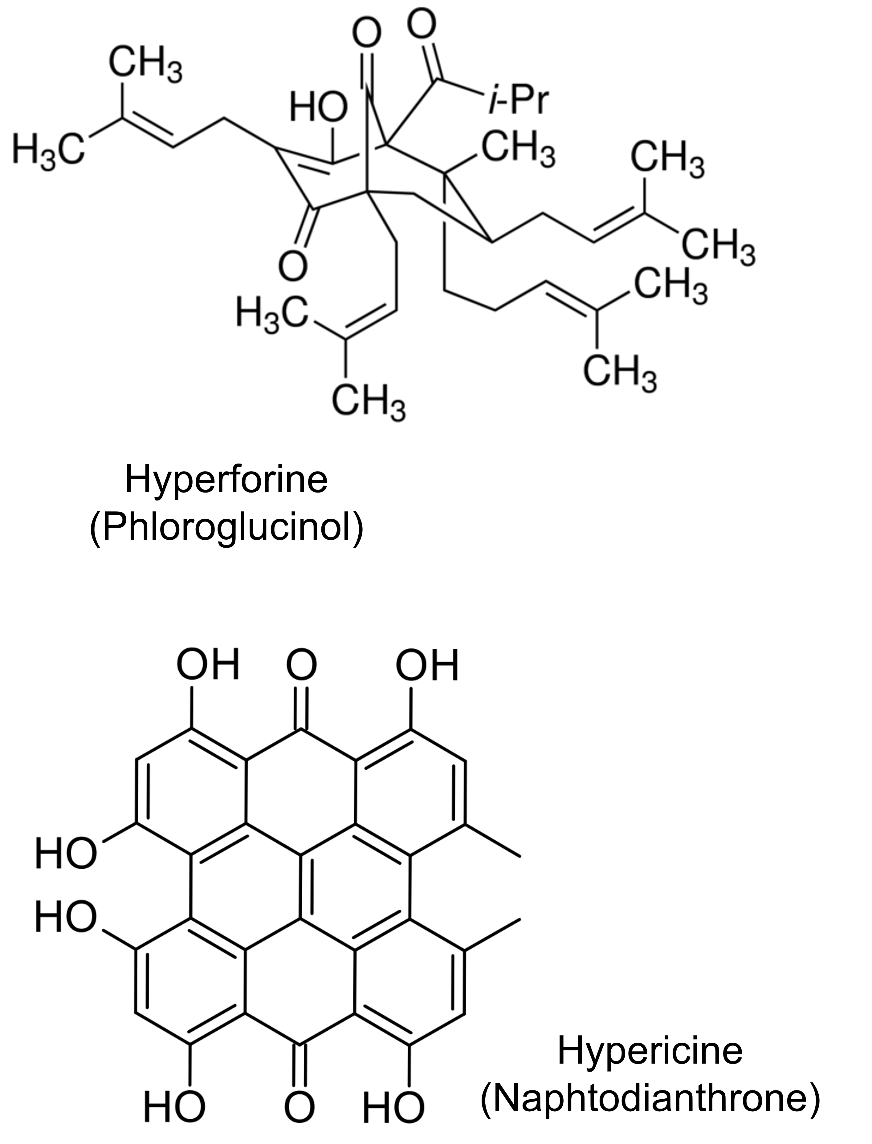 Structure moleculaire des molecules composants l´hypericum