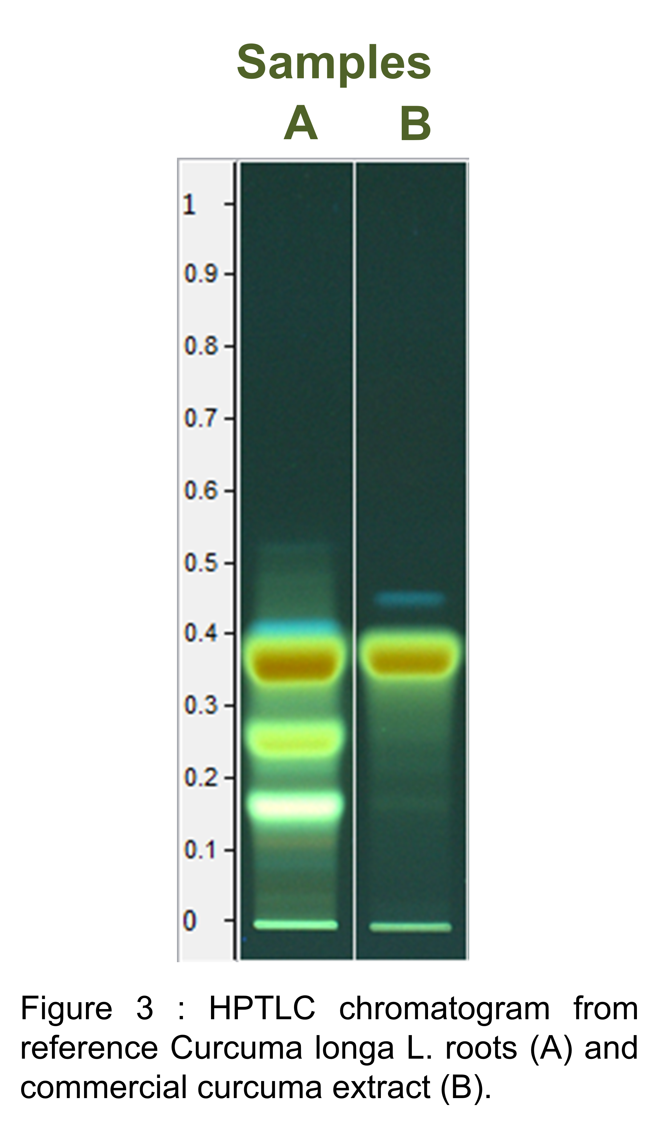 L´HPTLC n´est pas une methode exhaustive pour verifier l´absence de fraudes sur vos extraits de curcuma