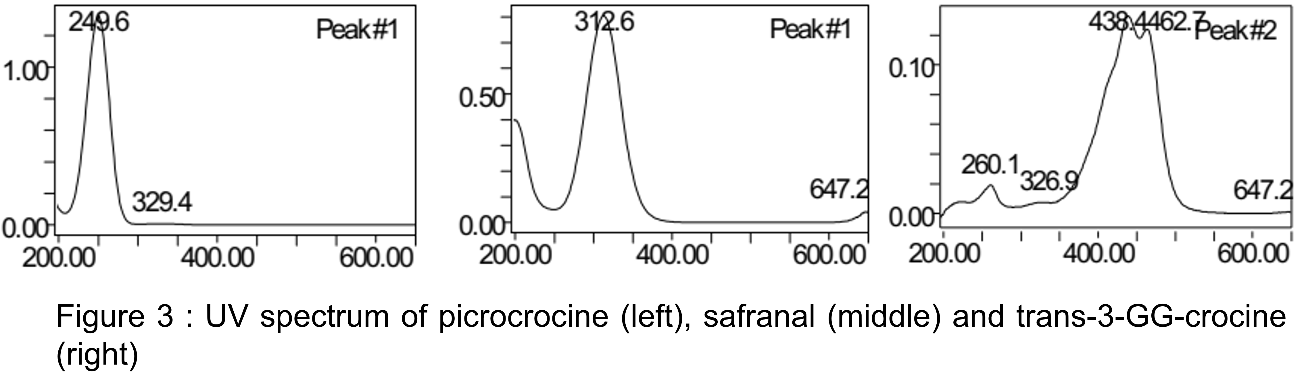 Spectre UV de chaque composés majoritaires du safran